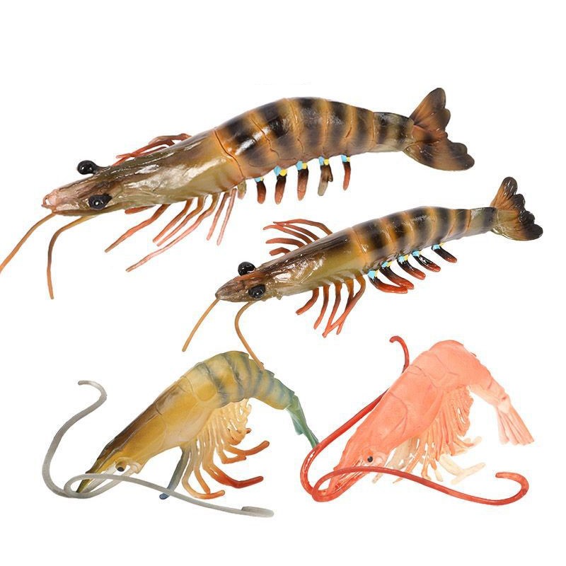 仿真海洋动物模型斑节对虾