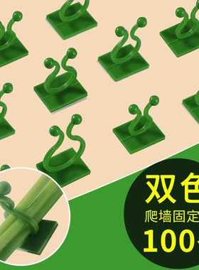 扣环卡扣绿植粘钩爬墙上固定器