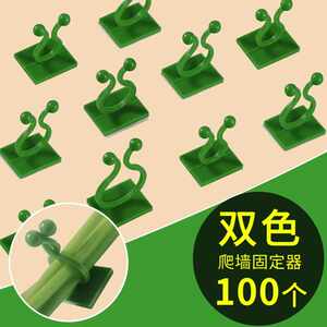 扣环卡扣绿植粘钩爬墙上固定器