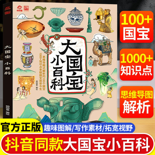 知识点串联国宝前世今生感受中华五千年 解析约100个国宝1000 大国宝小百科维导图式 智慧中小学中国古代历史文化百科 抖音同款