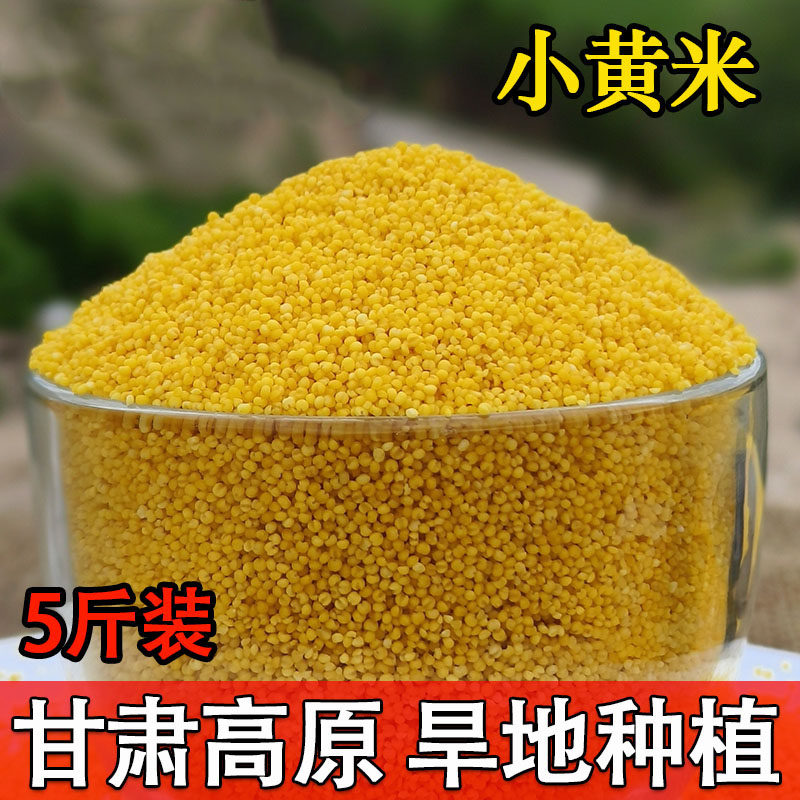 嘟角鲜小黄米5斤正宗甘肃特产农家旱地新米熬稀饭煮粥月子小米粥