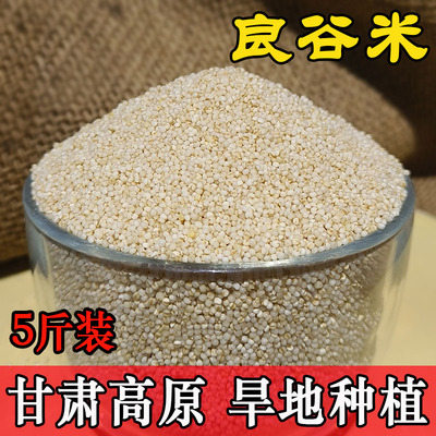 良谷米5斤正宗甘肃特产农家旱地新米熬稀饭煮粥月子小米粥粗杂粮