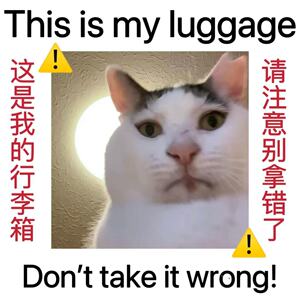 留学行李箱防拿错贴纸防水不留胶
