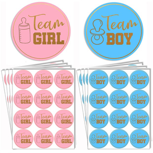 Team Boy or Team Girl性别揭示圆形不干胶礼物游戏投票装饰贴纸