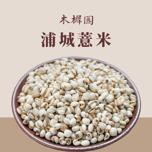 浦城高山小薏米薏苡仁