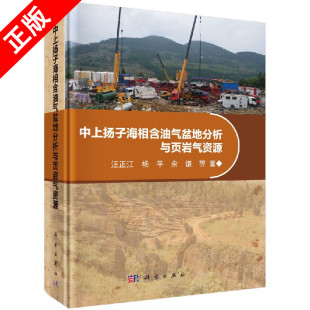 正版 中上扬子海相含油气盆地分析与页岩气资源书籍
