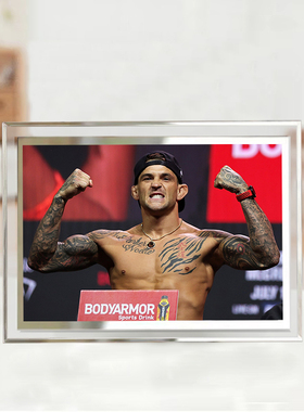 普瓦里尔相框钻石格斗卧室装饰画桌面摆件海报照片定制房间挂画