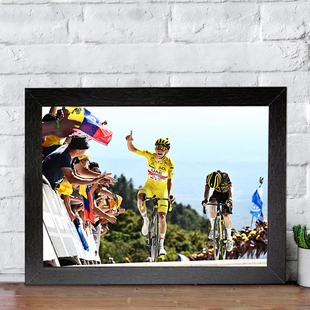 波加查相框公路自行车房间挂画装饰画免打孔桌面摆件摆台礼物周边