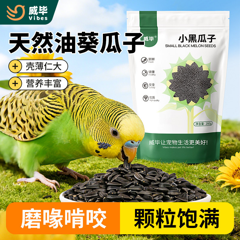 油葵瓜子鸟粮饲料训练奖励食物图片