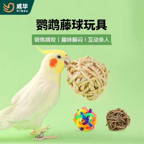 天然藤球放心啃咬互动亲人