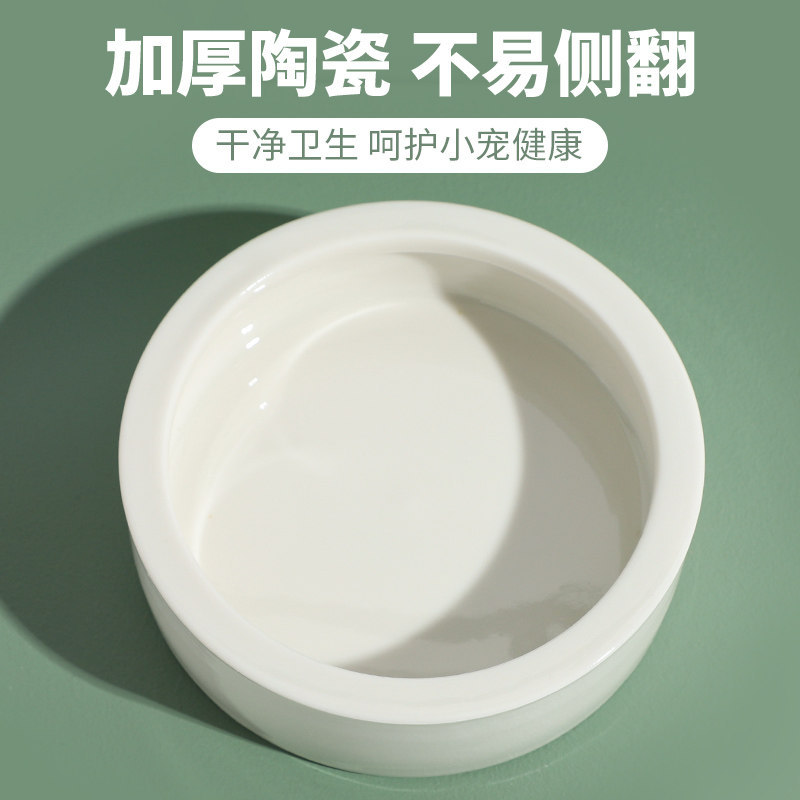 芦丁鸡喂食器自动水壶饲料盒食盆食槽饮水喝水小卢丁鸡陶瓷喂水器,宠物/宠物食品及用品,鸟禽喂食器/喂水器,淘宝优惠券,粉丝福利购,淘宝优惠卷