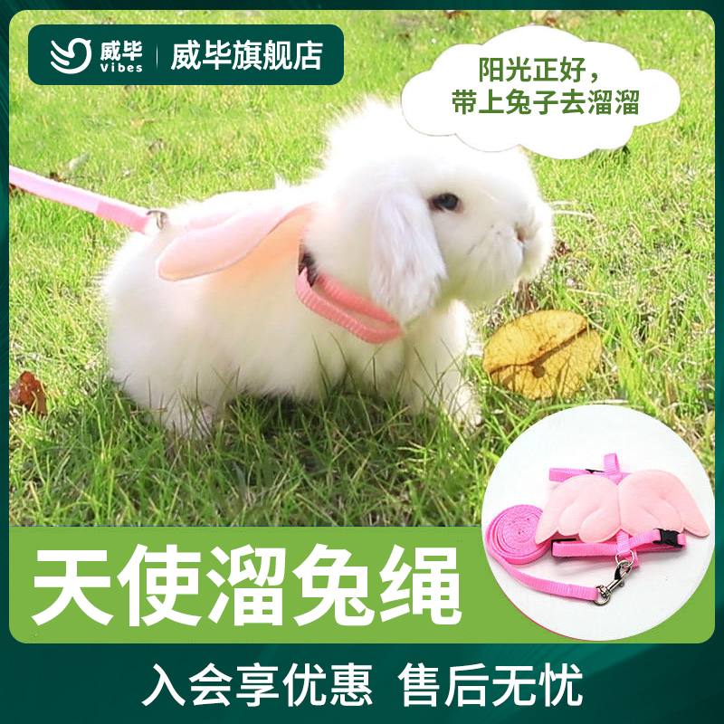 外出神器宠物专用可调节兔子