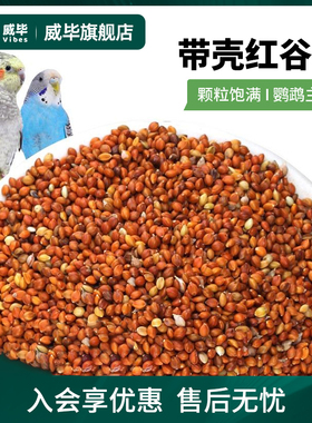 威毕红谷子带壳小米250g虎皮牡丹玄凤文鸟鸟食雀鸟粮鸟饲料鹦鹉