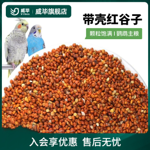 威毕红谷子带壳小米250g虎皮牡丹玄凤文鸟鸟食雀鸟粮鸟饲料鹦鹉