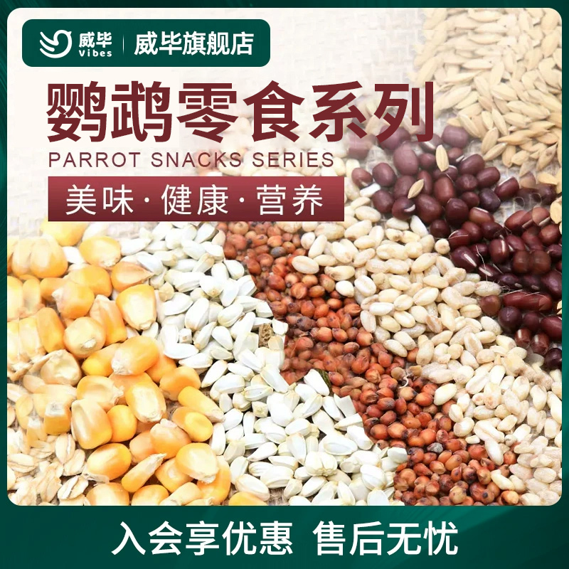 玄凤鹦鹉零食自配瓜子燕麦