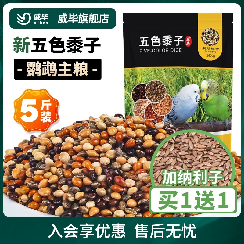 当季新米5斤大包装五色混合黍子图片