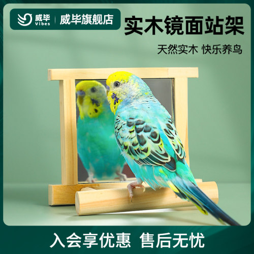 鸟用天然实木镜子站台站杆