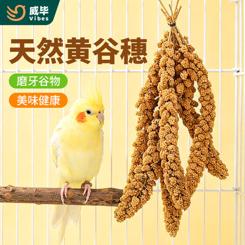 鹦鹉天然谷穗带壳小米珍珠鸟玄凤