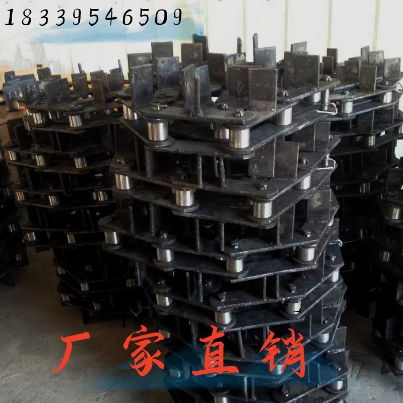 NE30提升机传动链条厂家现货直供图片