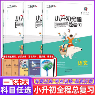 2024一飞冲天小升初全程总复习语文数学英语人教版精通版部编天津中考毕业升学系统总复习资料专项训练辅导书知识大集结教辅书