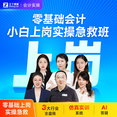 0基础上岗实操急救班】2026年之了课堂马勇陈娣财务做账网课知了