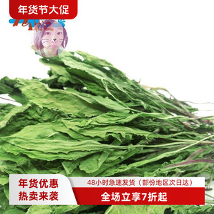 白菜麻麻 25年新草蒲公英牧草清热解毒消炎止泻龙猫兔子豚鼠500克
