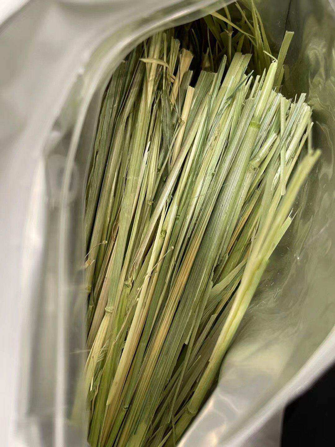 白菜麻麻 澳洲燕麦草手选 黄金澳麦绿澳麦 兔子龙猫豚鼠 500克
