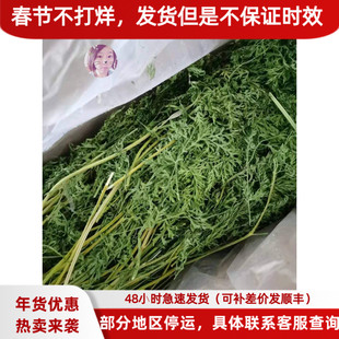 白菜麻麻 烘干胡萝卜樱子叶 补充维生素 美毛护肤助消化 龙猫兔子