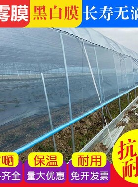 进口大棚膜消雾PO种植蔬菜草莓白色无滴膜塑料薄膜防晒加厚大棚膜
