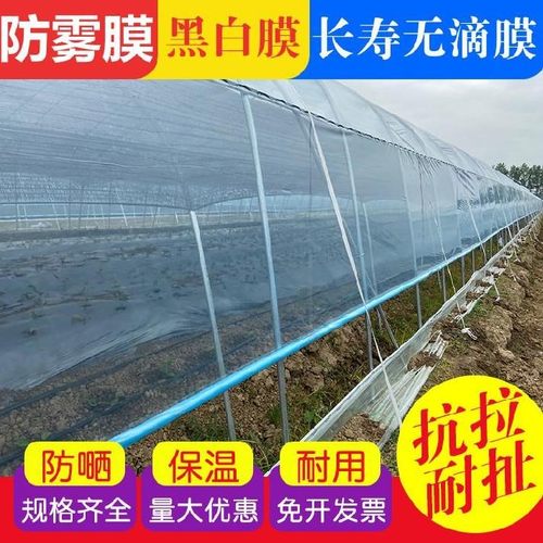 长寿大棚膜消雾流滴PO膜白无滴膜