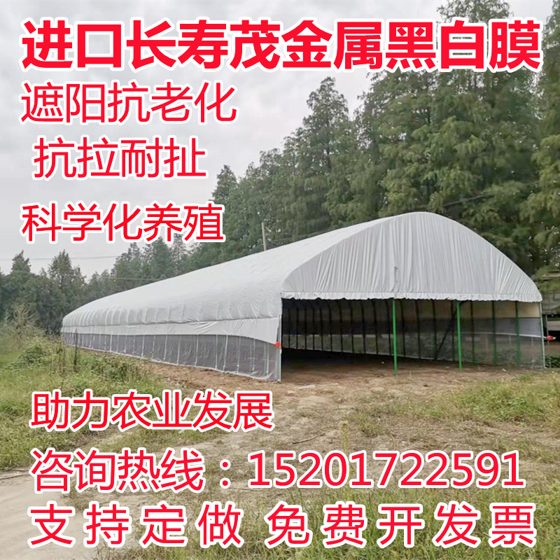 进口黑白膜绿白膜加厚养殖隔热降温保温遮阳专用大棚膜防渗土工膜