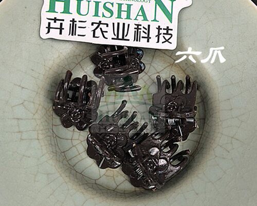 支架固定铁丝造型蝴蝶兰包邮花卉