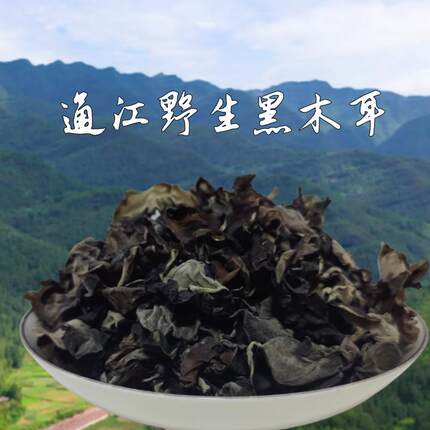 通江野生黑木耳无根肉厚500g干货菌菇干木耳四川通江特产黑菜云耳