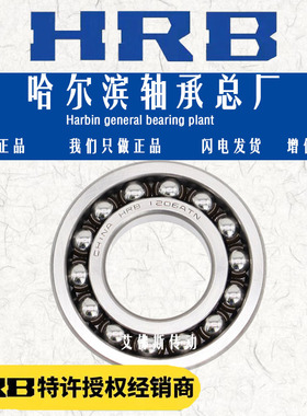 HRB哈尔滨双列调心球轴承1305 1306 1307 1308 1309 ATN AKTN高速