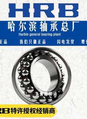 HRB哈尔滨双列调心球轴承1216 1217 1218 1219 1220 1222 1224ATN