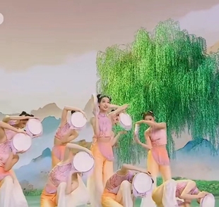 中国风艺考剧目群舞 桃李杯古典舞春嬉演出服 扇子舞蹈服装