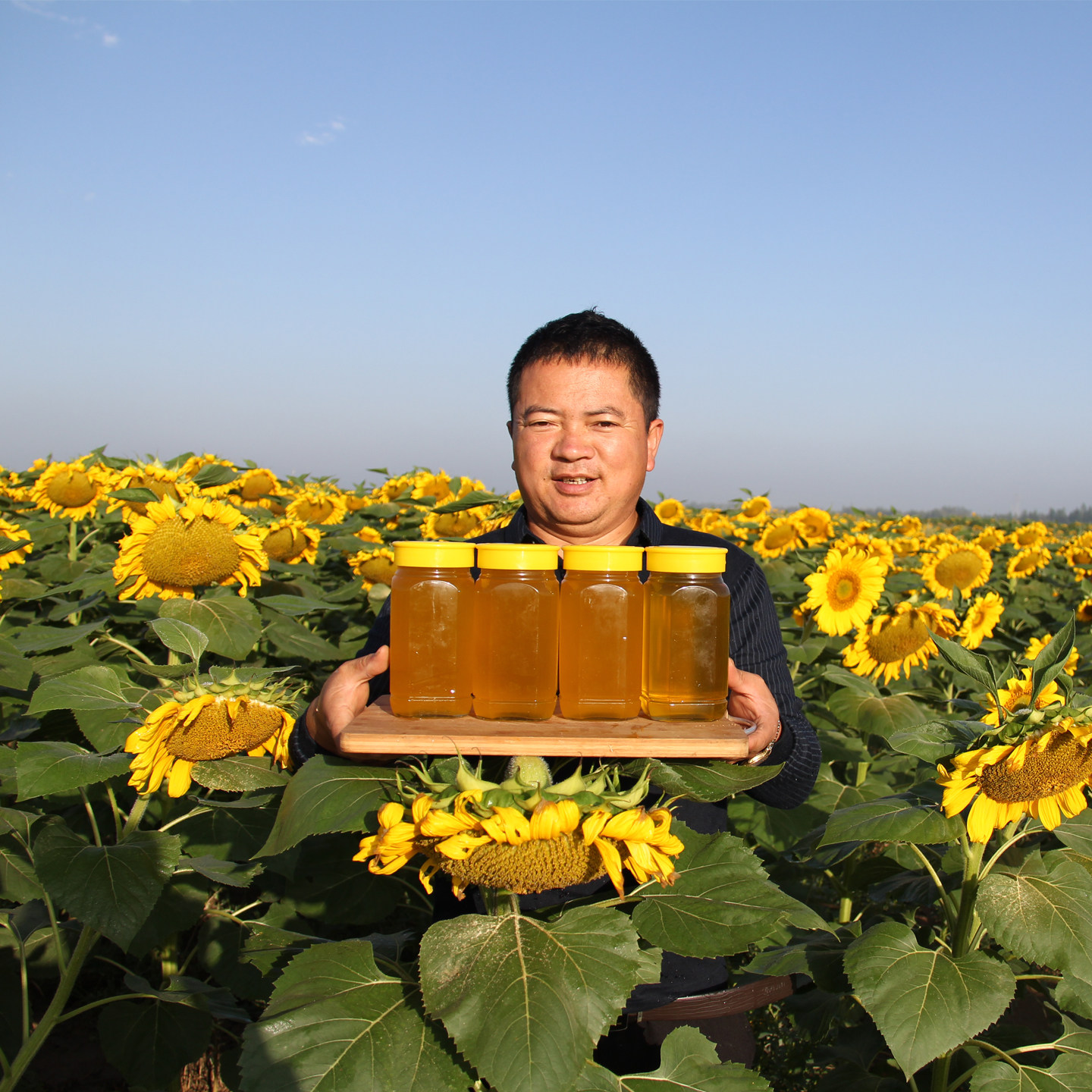 葵花蜜内蒙古向日葵土蜂蜜 农家自产高浓度结晶蜜灌装2斤非百花蜜