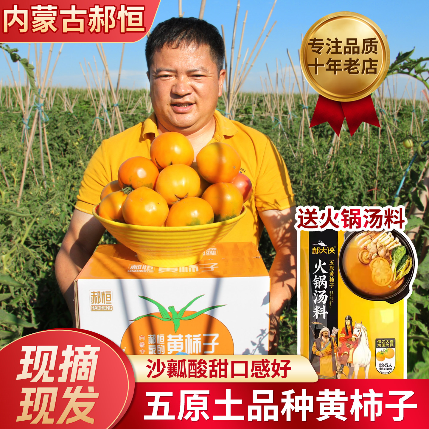 内蒙五原黄色西红柿大黄柿子内蒙特产黄番茄铁皮柿子新鲜水果6斤,水产肉类/新鲜蔬果/熟食,番茄,淘宝优惠券,粉丝福利购,淘宝优惠卷