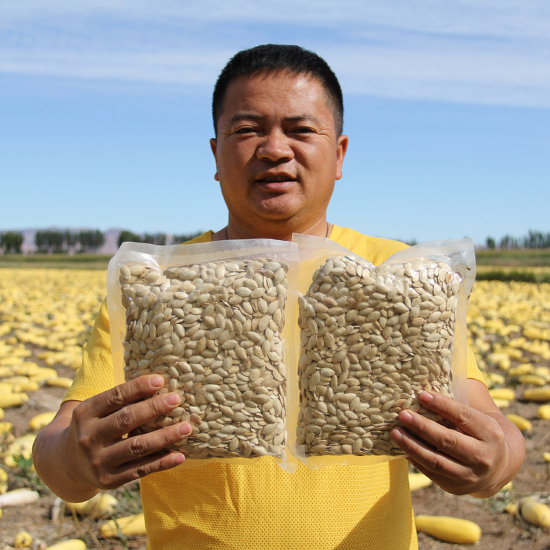 内蒙古盐焗味原味熟南瓜子袋装大片26年新货大颗粒散装炒货休闲零