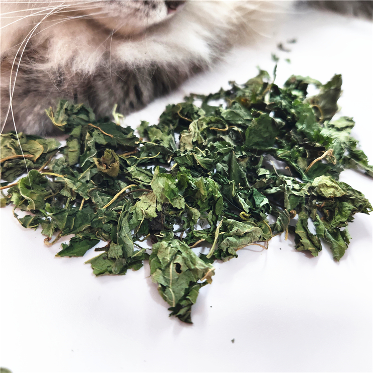 木天蓼叶子碎猫零食去毛球猫玩具