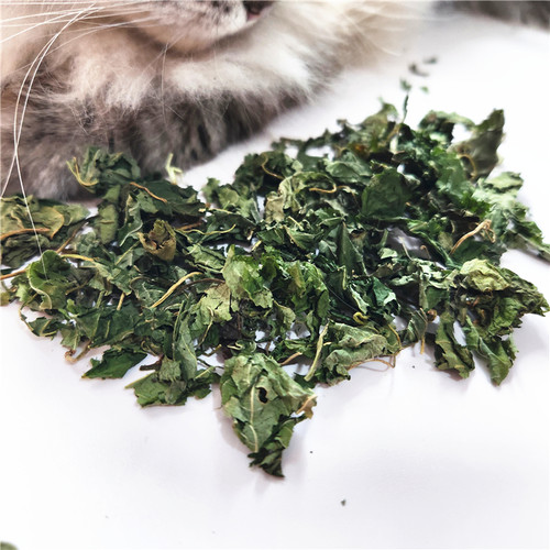 木天蓼叶子碎猫零食去毛球猫玩具