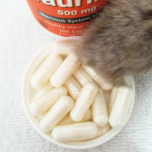 Now 大瓶分装 包邮 Foods猫宠物牛磺酸粉胶囊保护视力心脏 多省