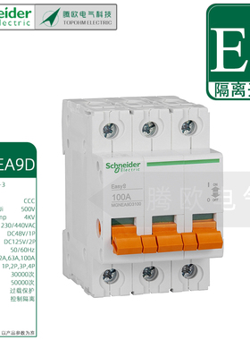 1P2P3P4P施耐德EA9D-INT125微型隔离开关断路器MGNEA9D32A63A100A