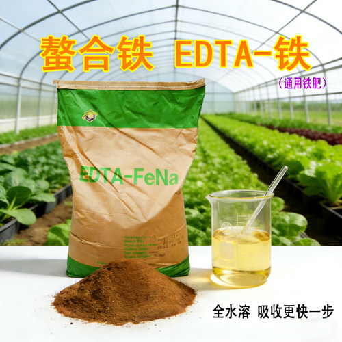 有机螯合铁EDTA铁月季杜鹃花黄叶