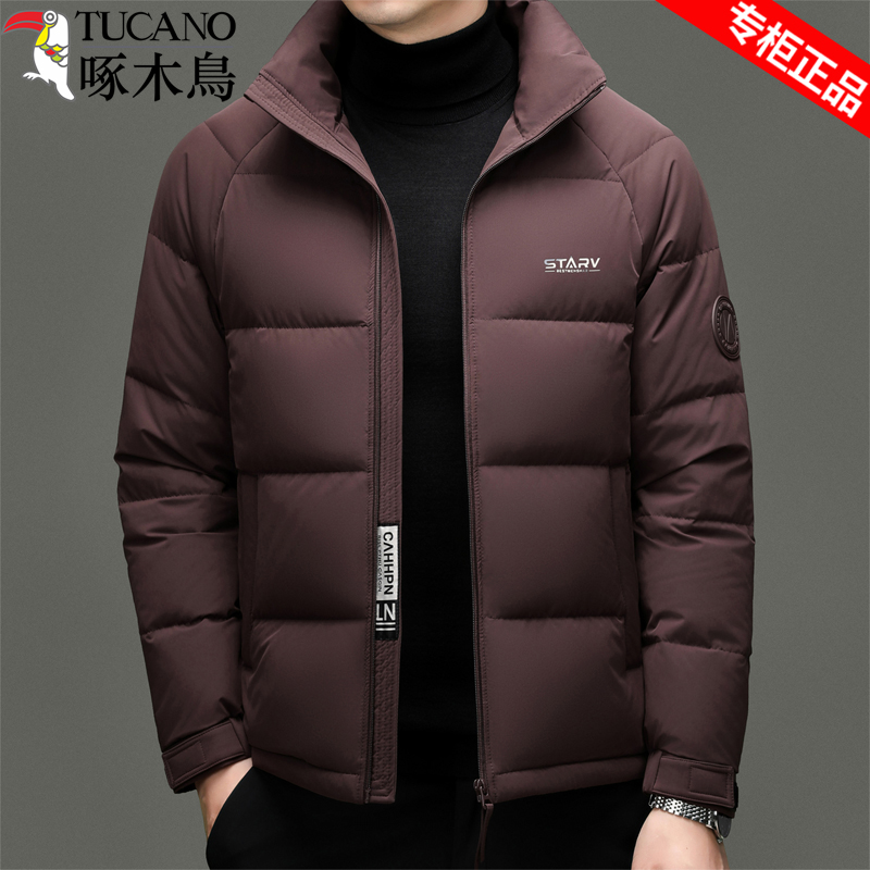 啄木鸟高端男士立领鸭绒棉衣外套