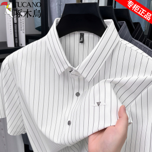 夏季 冰丝中青年薄款 高端条纹短袖 男士 弹力衬衣 衬衫 啄木鸟2025新款