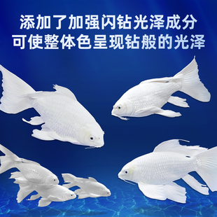 神阳巨鳞蝴蝶鲤专用饲料增白鱼粮锦鲤鱼食白金龙凤下沉型高蛋白