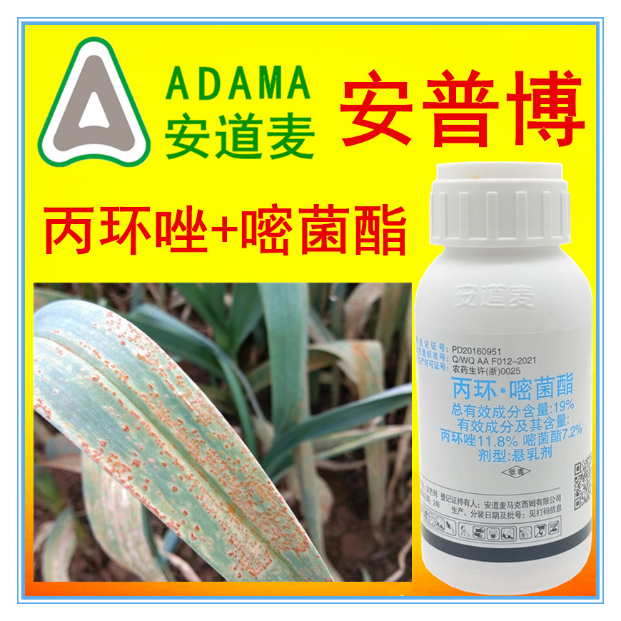 安普博丙环唑嘧菌酯 大蒜锈病专用药玉米大斑病小麦白粉病杀菌剂