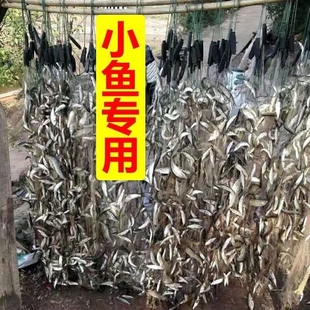单层粘网白条网半指1指1.5指2指柔丝捕鱼网浮网沉网渔网捕鱼神器