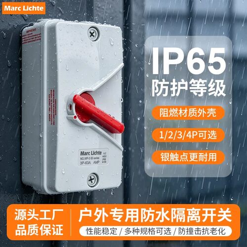 隔离开关WP-R-1P2P3P4P63A40A35A20A大功率工业开关IP65户外防水